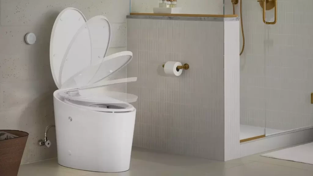 How to Install a Tankless Toilet